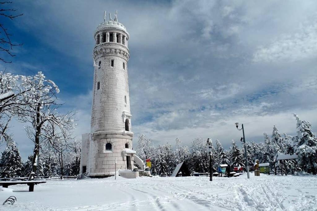 U podnóża Gór Sowich Pieszyce Exterior foto